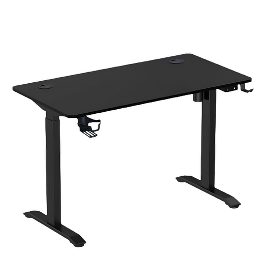 Electric Height Adjustable Standing Computer Desk"562-10"